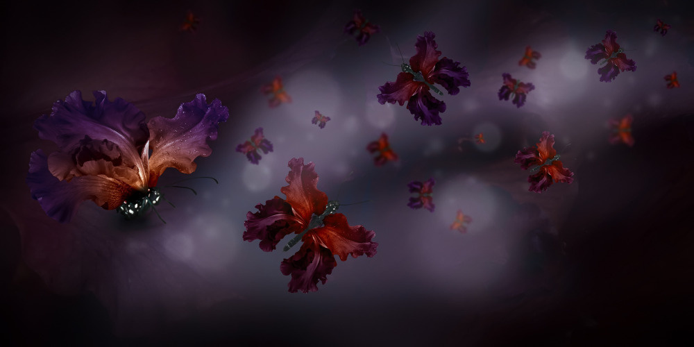 18 — бабочки