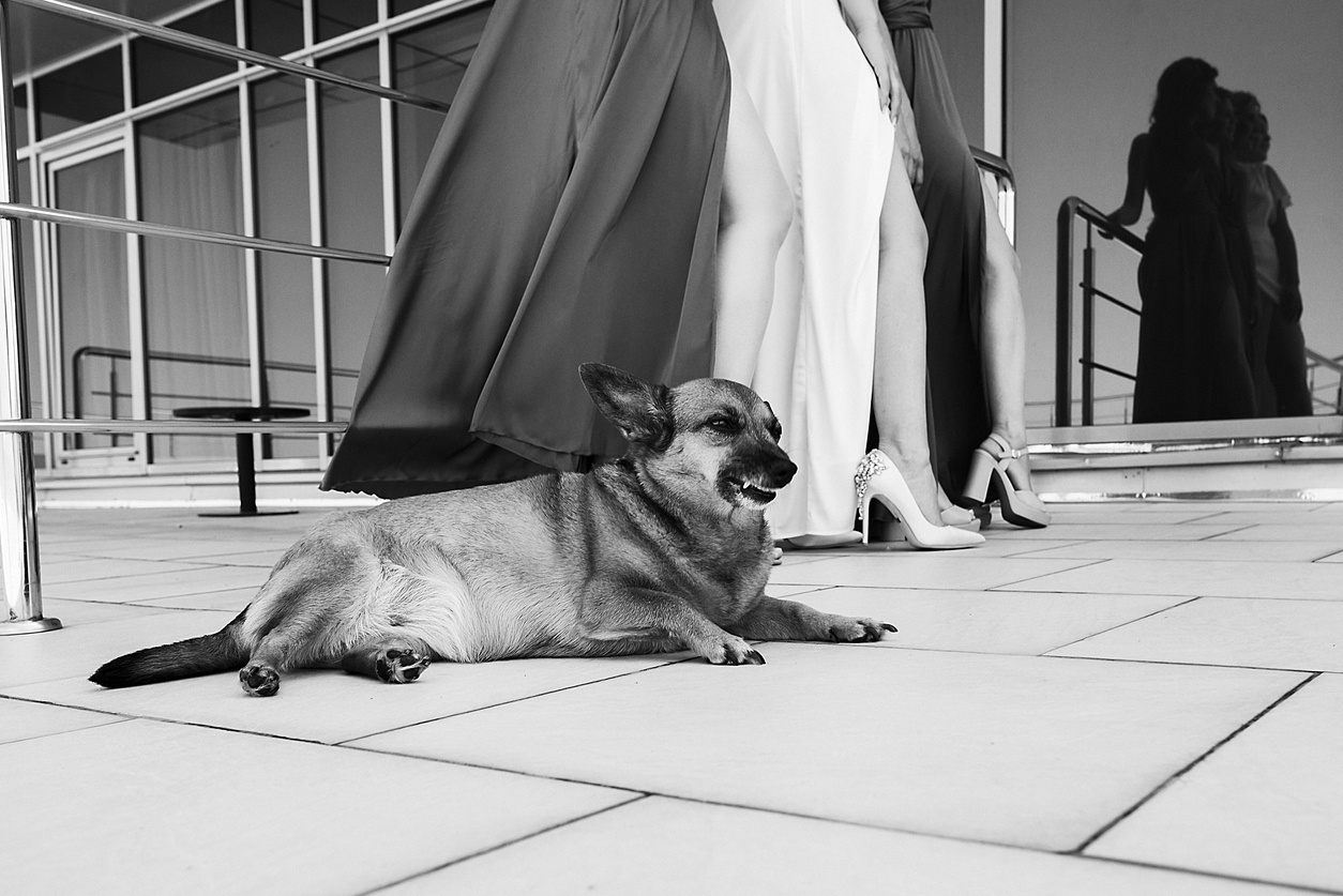 Свадьба Максима и Анны — Свадебный фотограф Запорожье Photoduet Sunday. Свадебный фотограф в Запорожье Photoduet Sunday