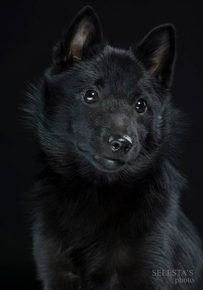 Студиія. Фотограф Катерина Мумжинська