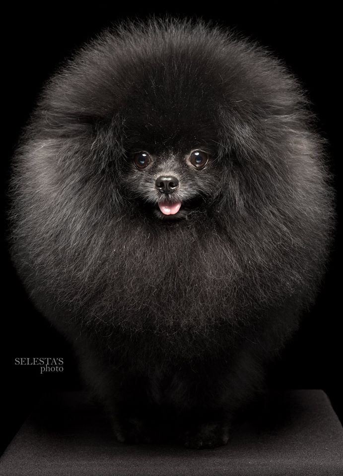 Студиія. Фотограф Катерина Мумжинська