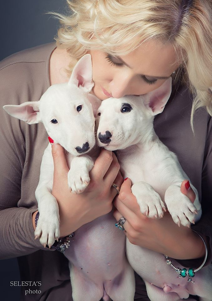 Pets and people. Pets and people photographer Kateryna Mumzhynska