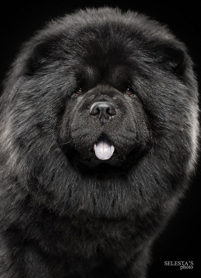 Студиія. Фотограф Катерина Мумжинська