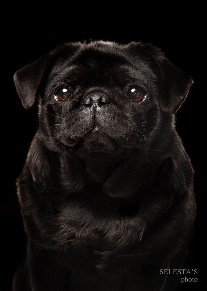 Студиія. Фотограф Катерина Мумжинська