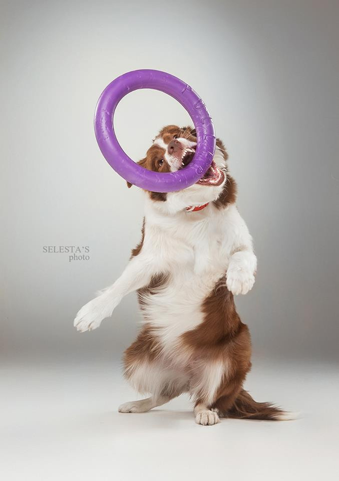 Аdvertising. Pets and people photographer Kateryna Mumzhynska