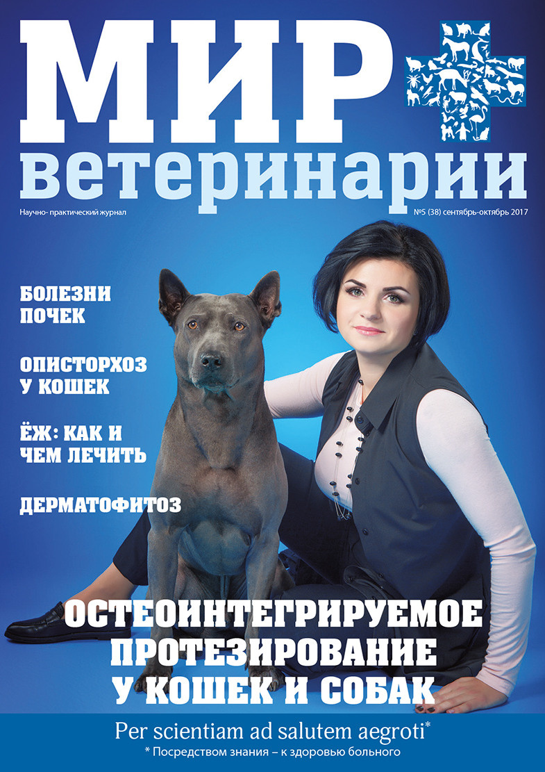 Обложки журналов. Фотограф Катерина Мумжинська