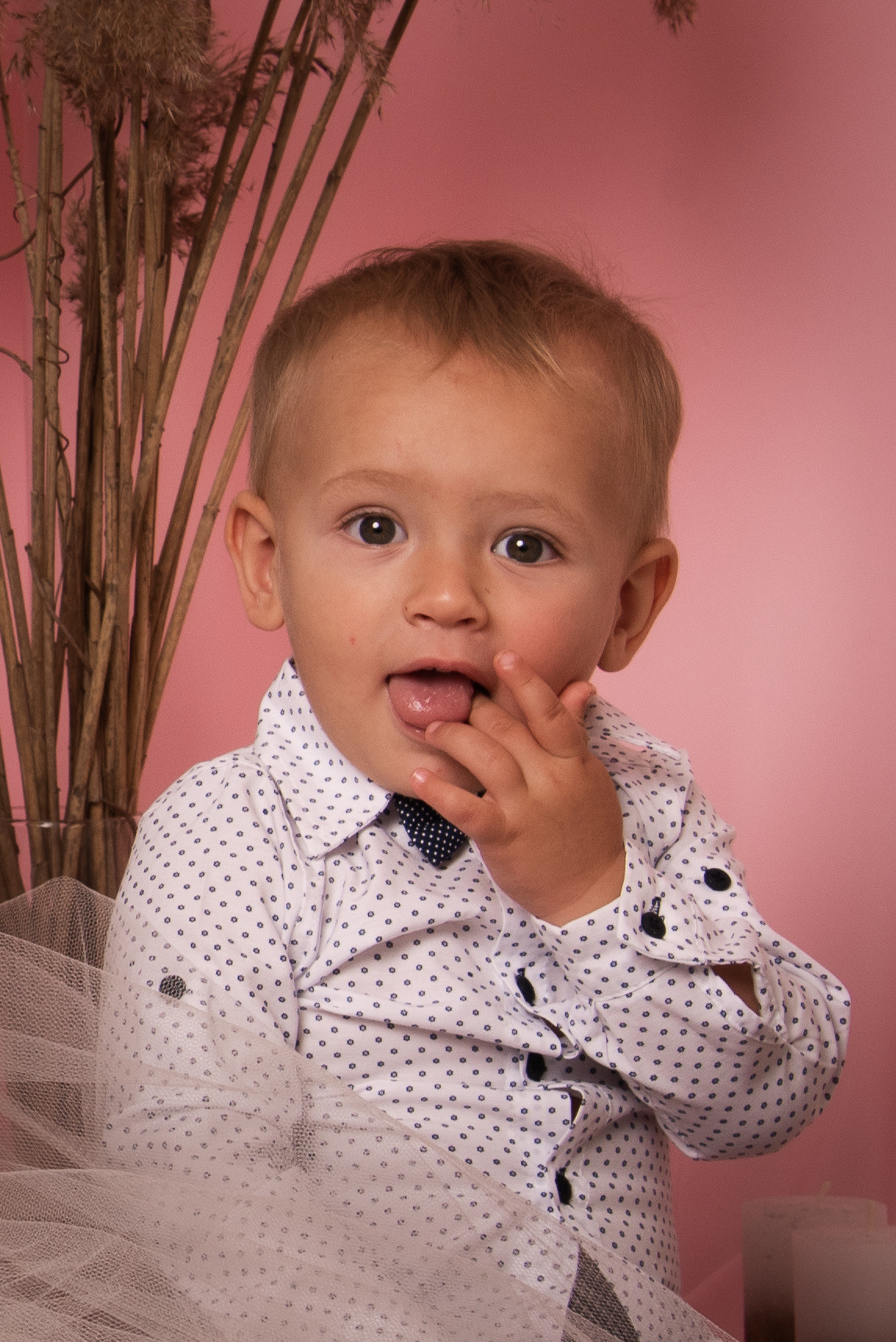 Сімейна фотосесія в студії. Фотограф Анастасія Залужна | Манхайм