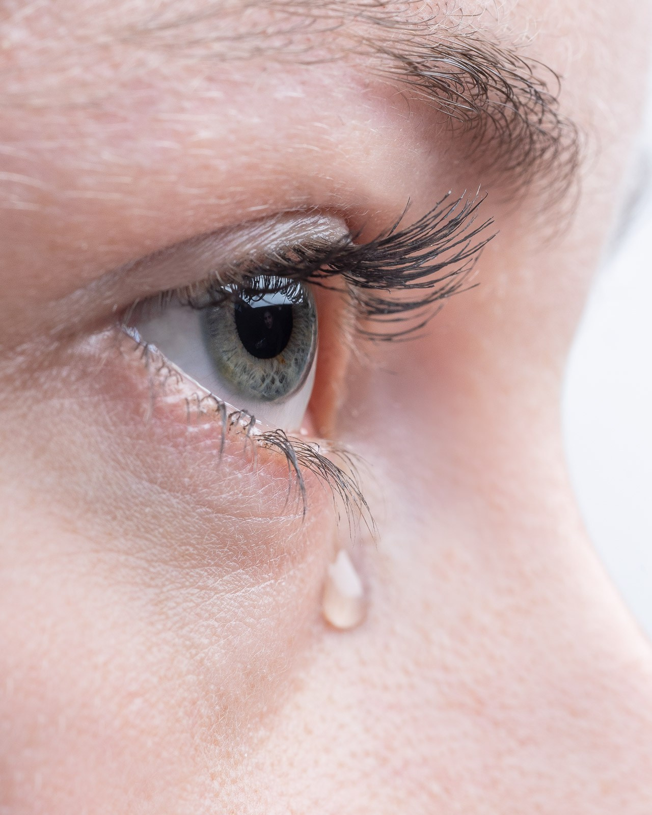 Parasite. The-yan.com