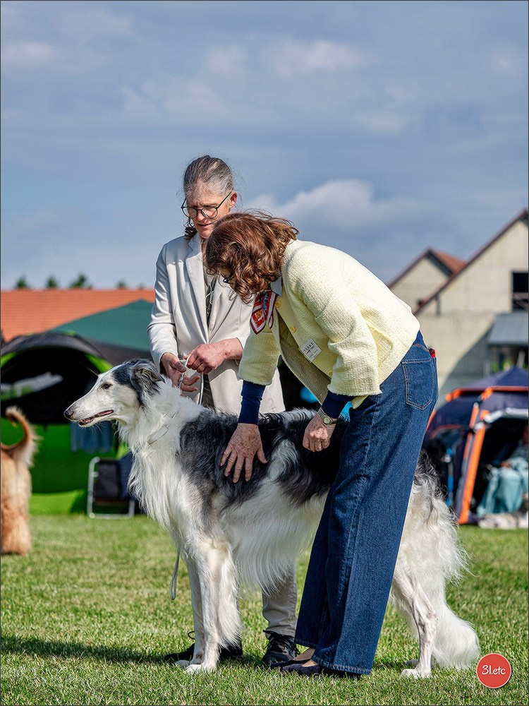 Dog Show Rieden 🇩🇪 16-18/05/2025. Photographe à Strasbourg | Portraits, Studio, Enfants, Événements