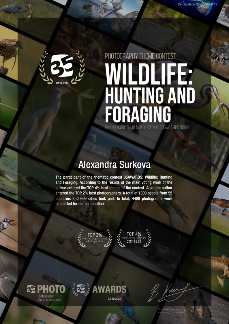 ABOUT. Fine art wildlife photographer Alexandra Surkova