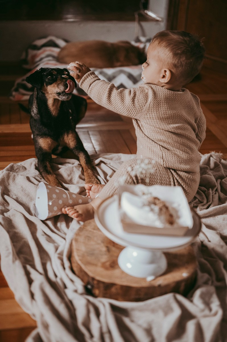 Filipova prva proslava rodjendan kod kuce. Deciji i porodicni fotograf u Beogradu Oksana Skendzic