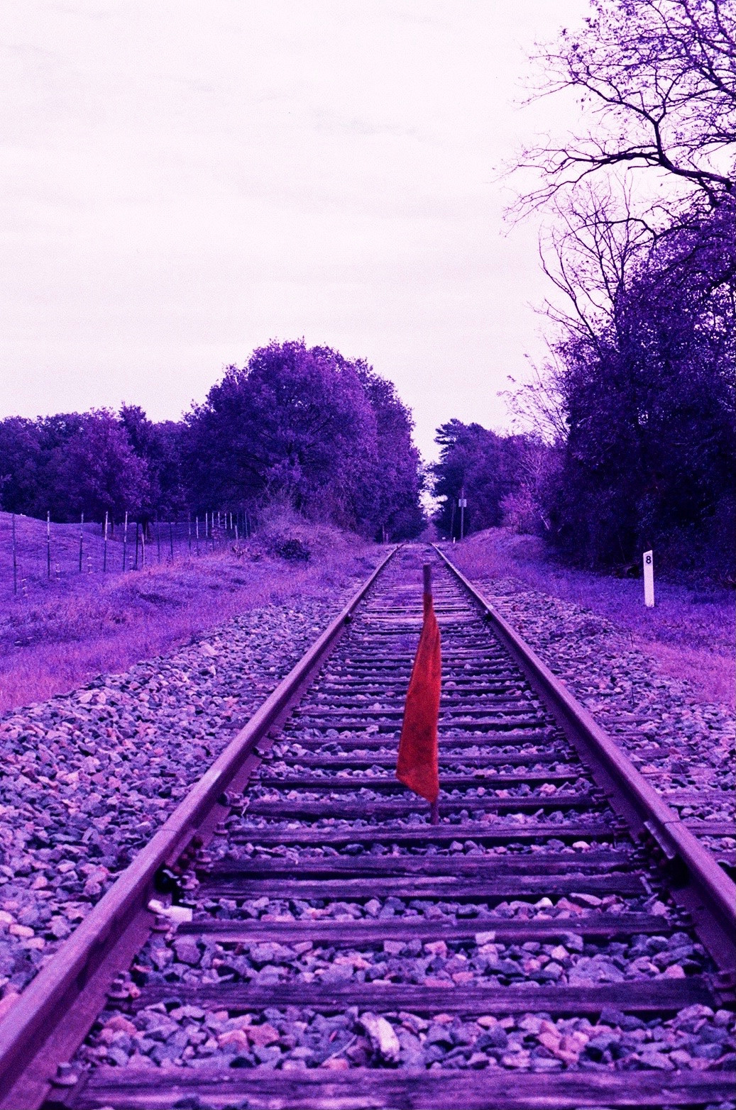 Argentique 🎞️ 📷. Anastasia Shapoval violoniste et photographe. Paris — Bourges