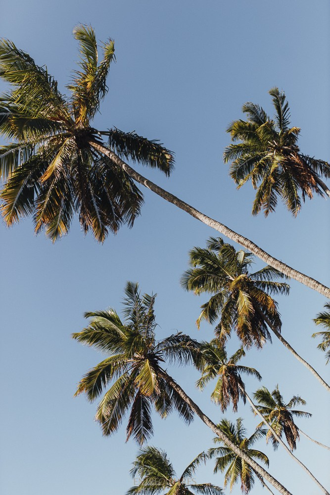 GIOVANNA & MATHEUS. EntreOlhares Fotografia e Filmagem de Casamentos em Recife/PE e João Pessoa/PB — Momentos únicos eternizados com sensibilidade