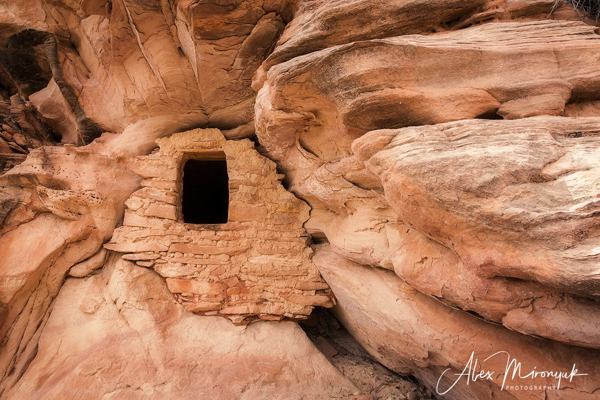 New Year In Utah. Pet, Senior, Landscape, portrait studio, photographer in Miami and Sou