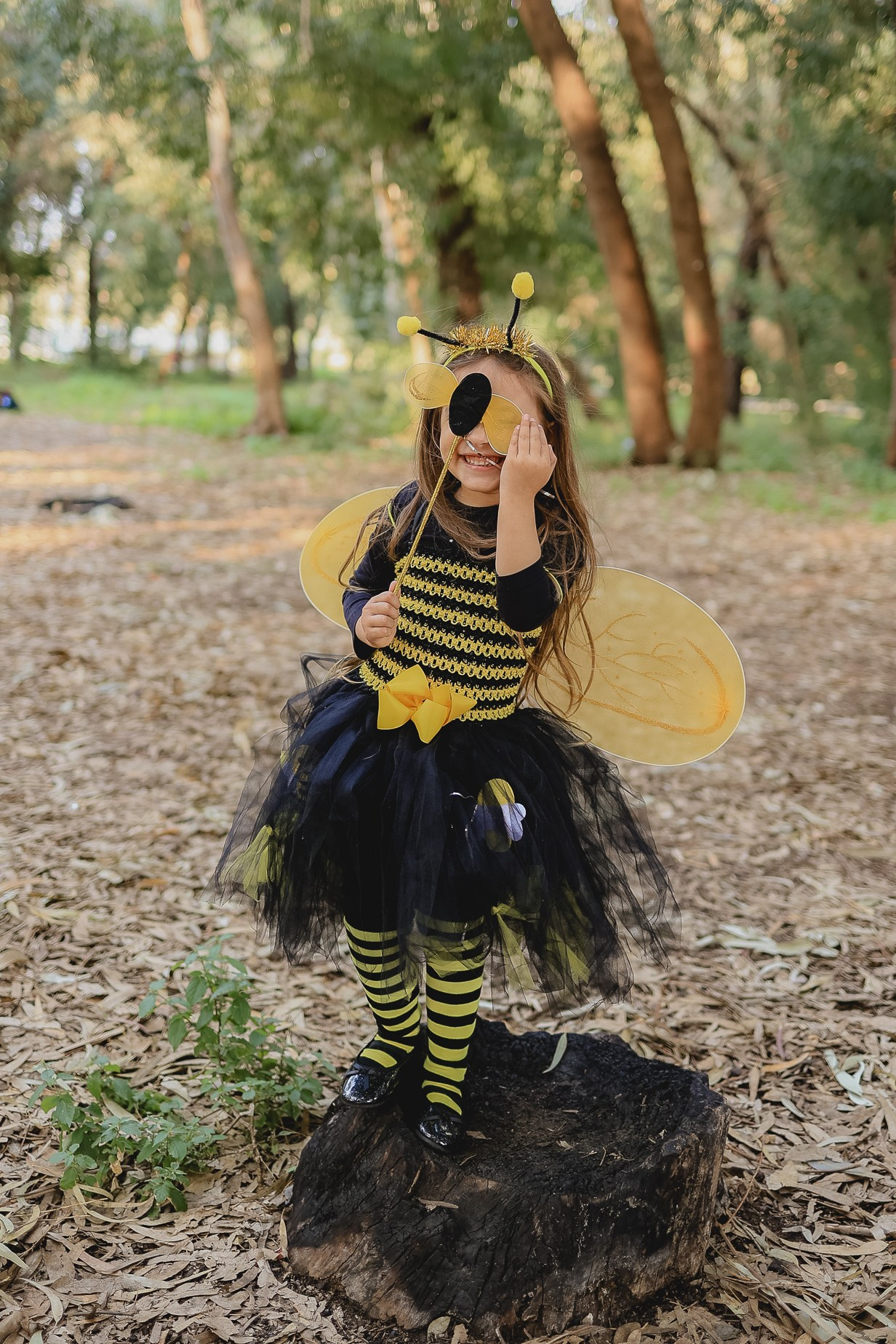 צילומי פורים בטבע. דף בית