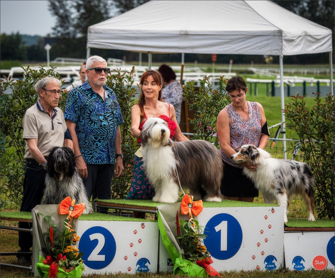 Photographie animalière. Photographe à Strasbourg | Portraits, Studio, Enfants, Événements