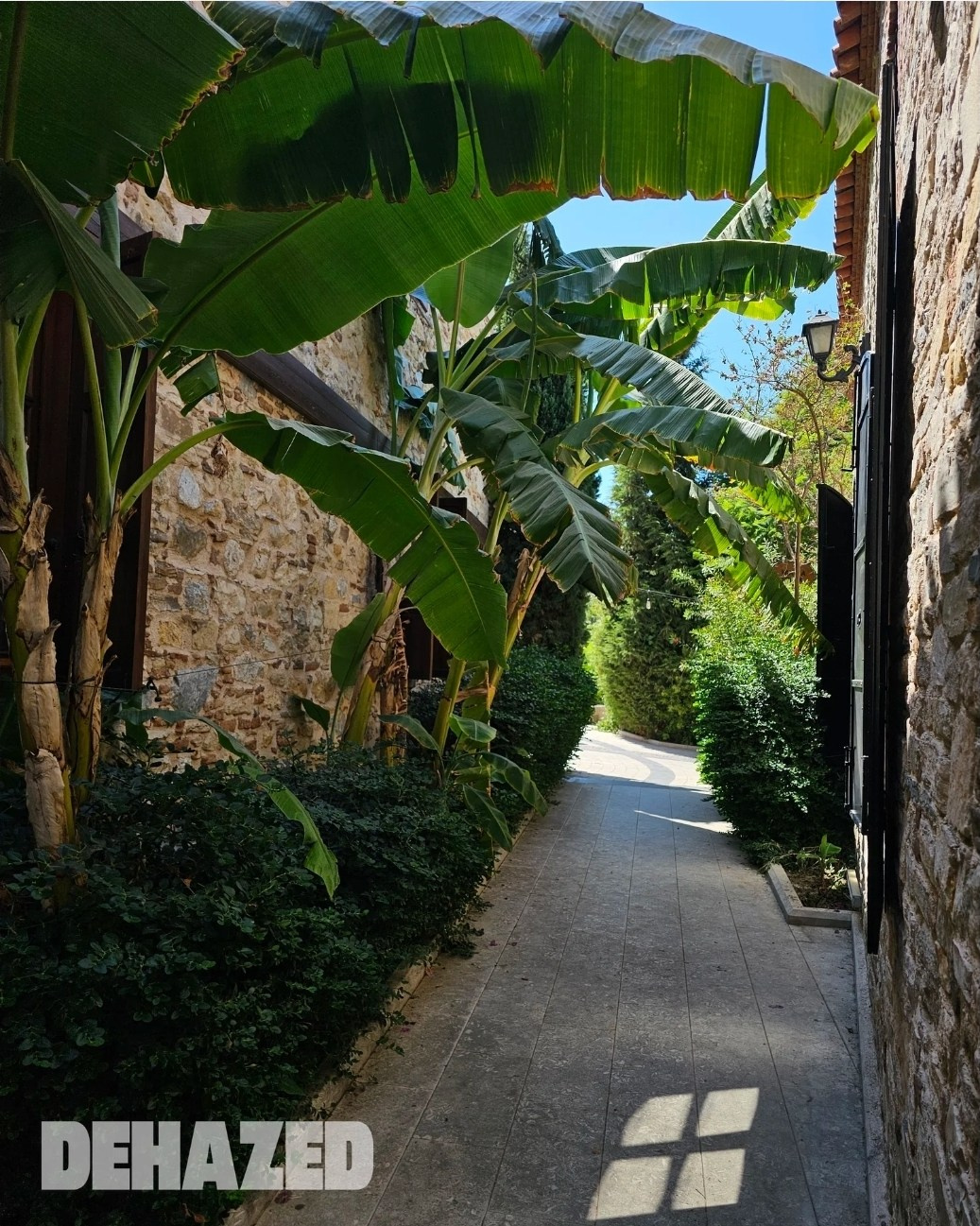 Online Publications. Jelena Kintero ART