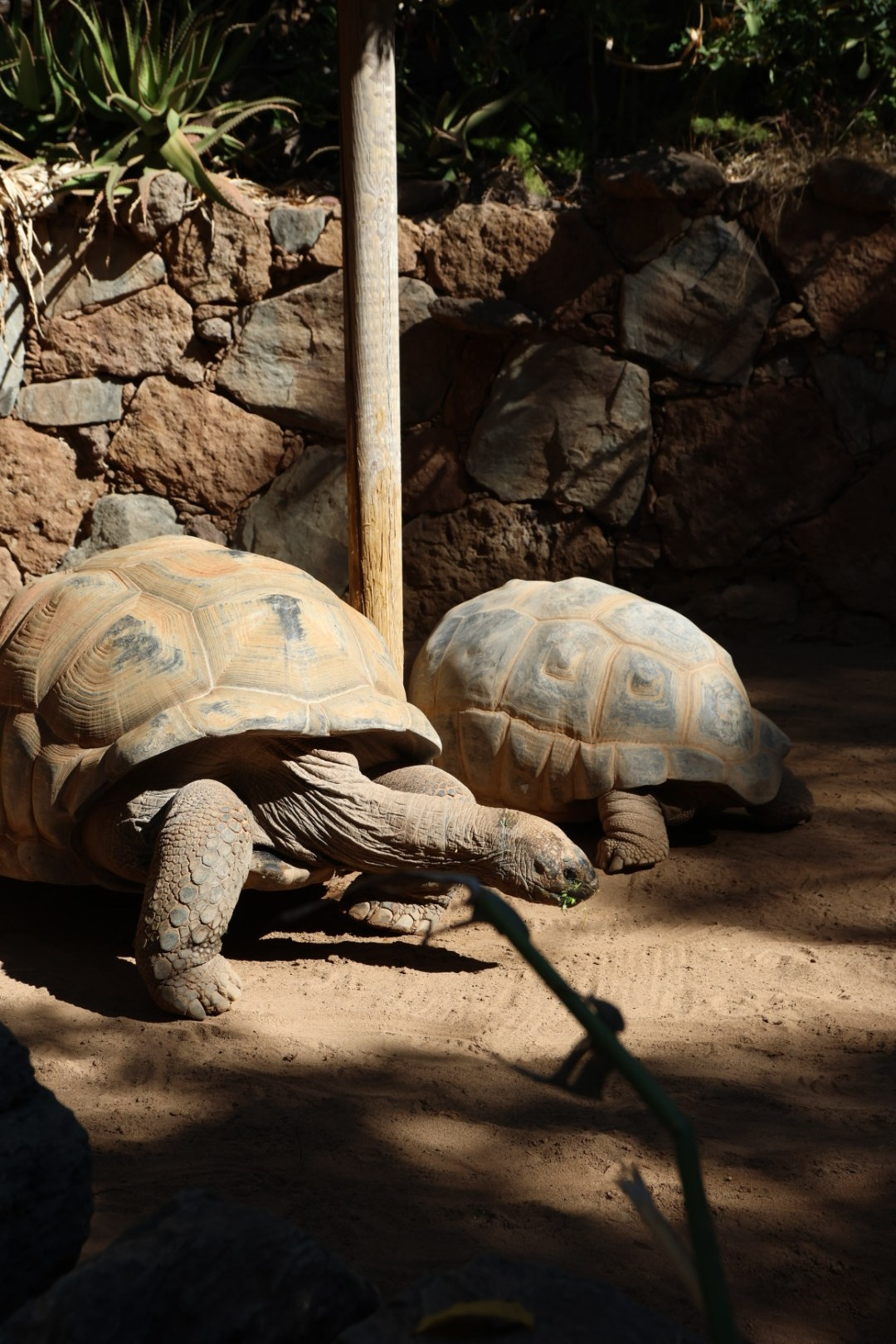 Gran Canaria 2024. Марина фотограф из Нюрнберга