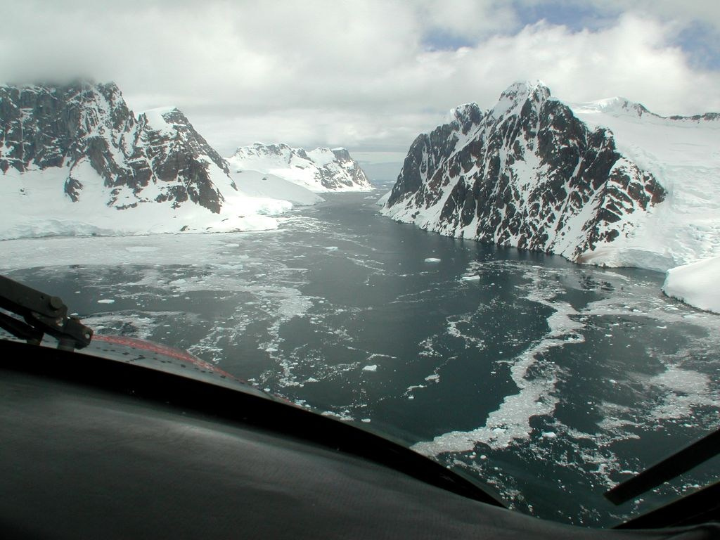 ANTARCTICA. Reportage concert portrait photography in the San Francisco Bay Area