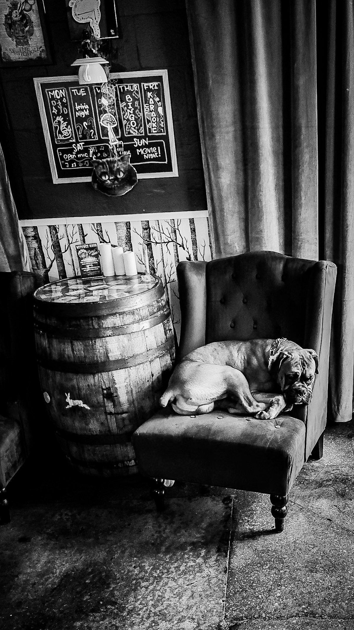 Black and White. Out and About 239