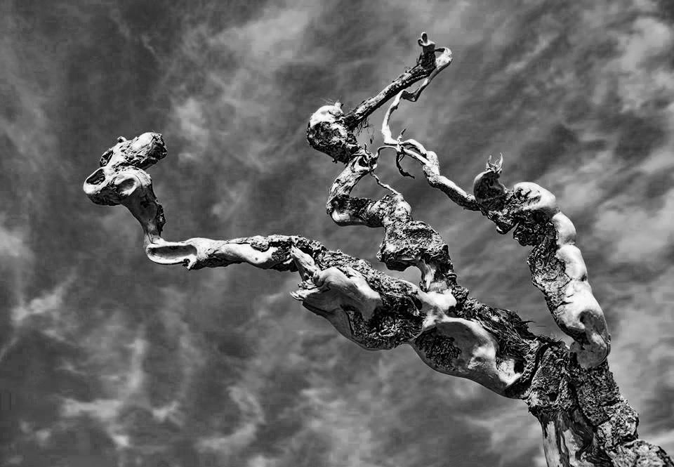 Работы учеников. Фотограф и преподаватель фотографии в Белграде