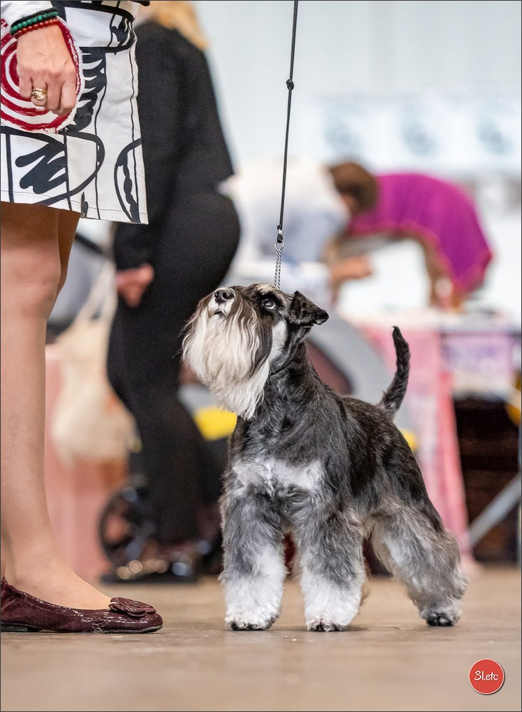 🇨🇭 Geneva 03-05.10.2025 🇨🇭. Photographe à Strasbourg | Portraits, Studio, Enfants, Événements