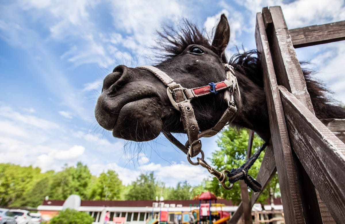Работы учеников. Фотограф и преподаватель фотографии в Белграде