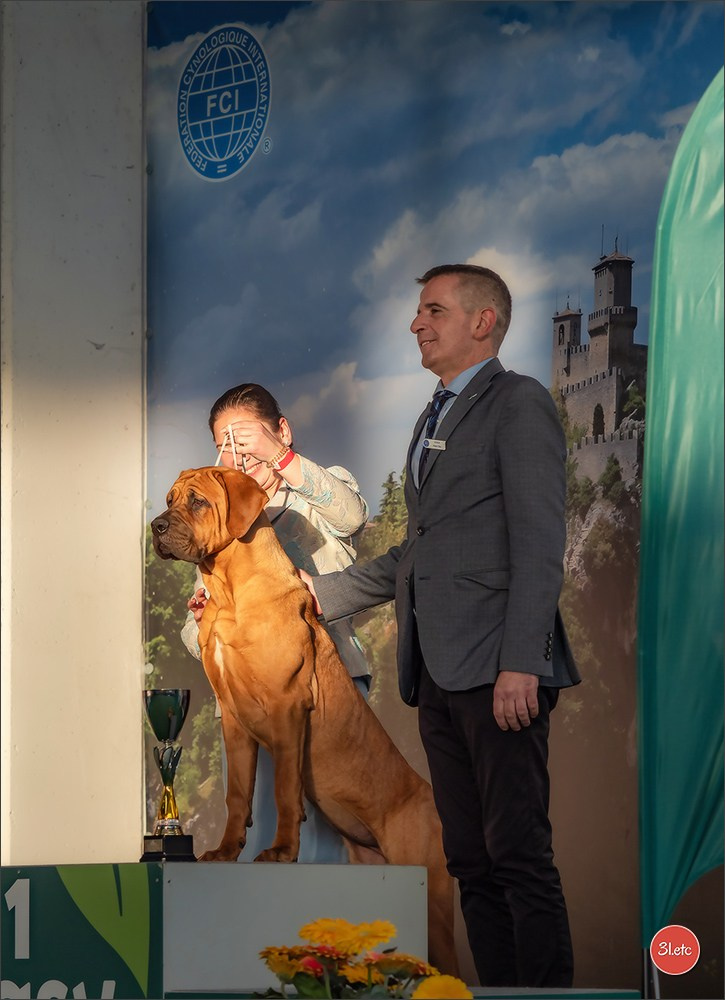 Dog Show  🇮🇹  San Marino. Photographe à Strasbourg | Portraits, Studio, Enfants, Événements
