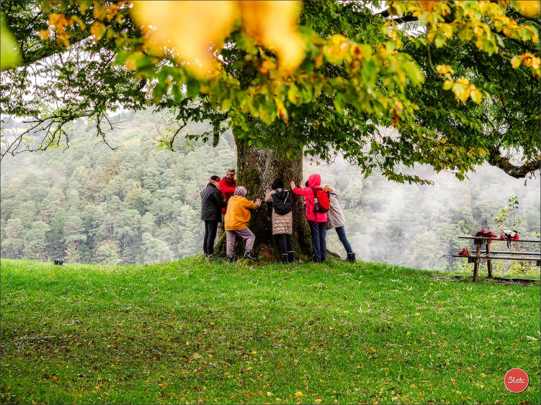 Ретрит в Эльзасе с Марией Ланг. Photographe à Strasbourg | Portraits, Studio, Enfants, Événements