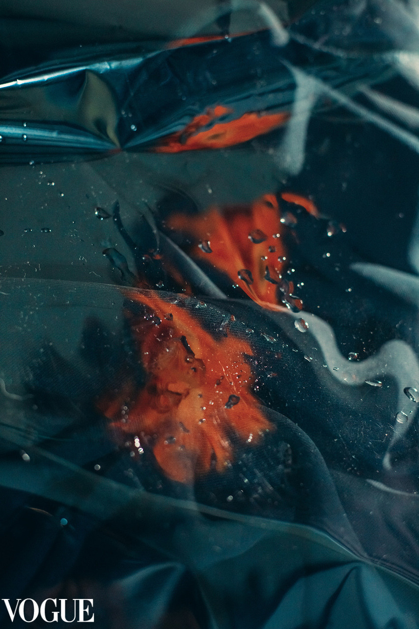 Progress of Lolly Shine. Lolly Shine. Contemporary digital artist