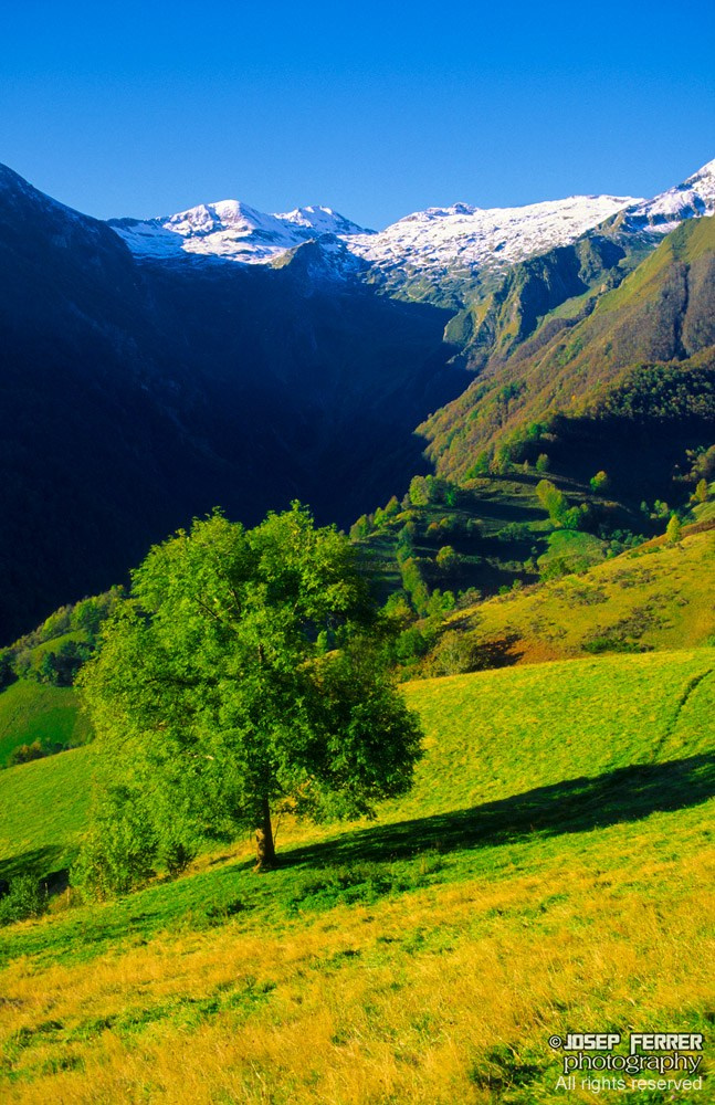 Pyrenees, Ariège, France