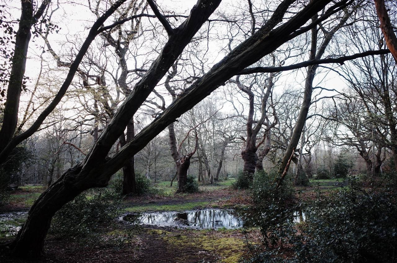 Viktoriia Road. Victoria Dini. Art photography in London / Folkestone, UK