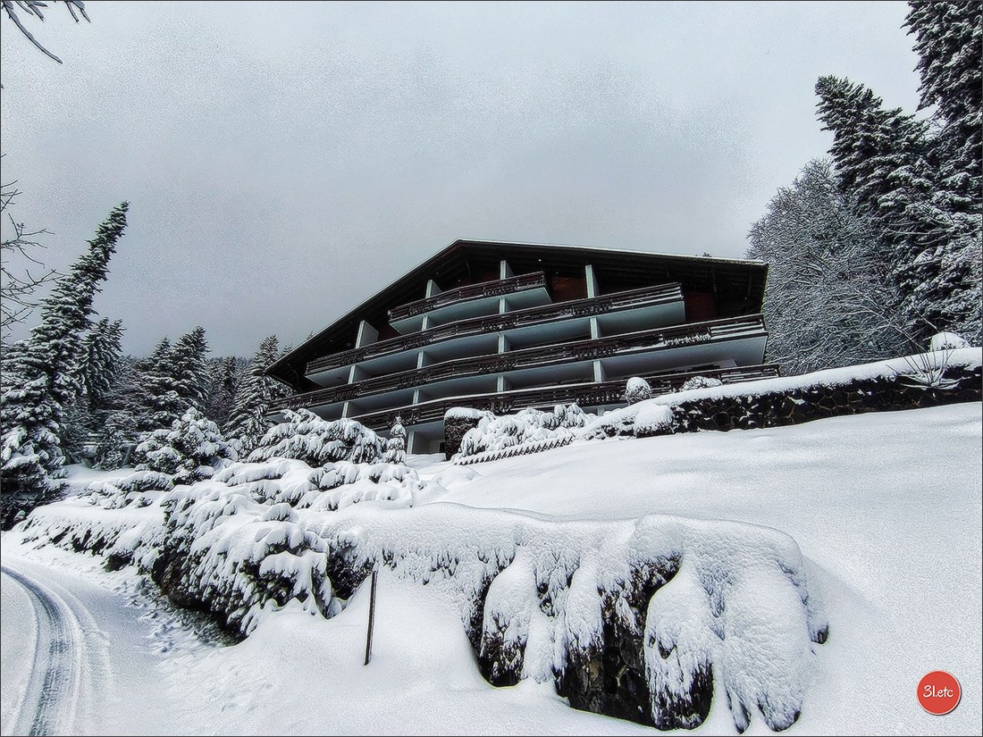 Swiss. Photographe à Strasbourg | Portraits, Studio, Enfants, Événements