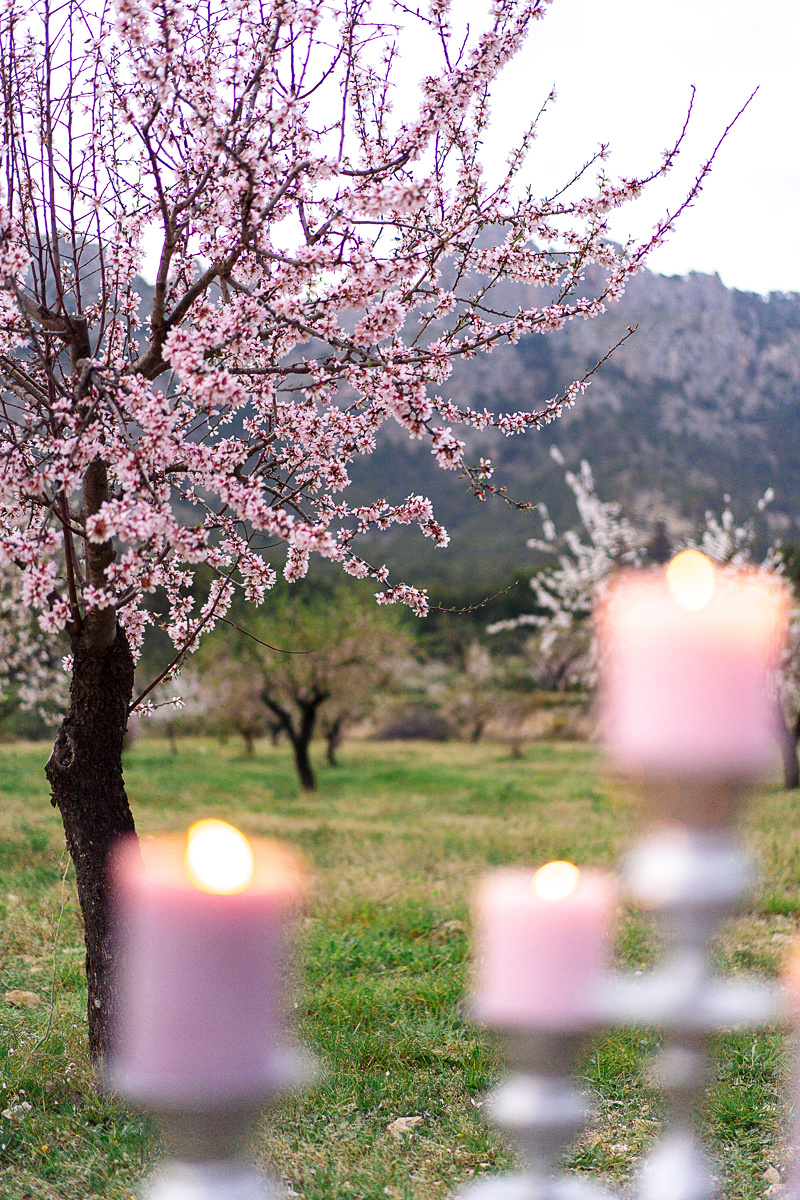 Фотосессия в цветущем миндале. Фотограф и визажист Анастасия Гусарова