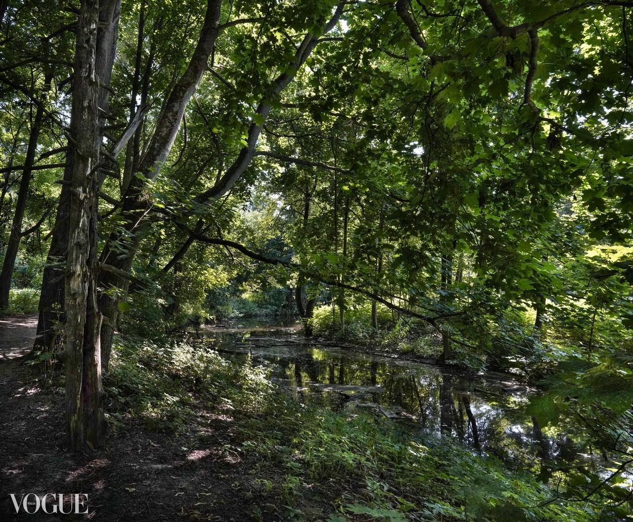 Сказка подмосковного леса. Суть фотографии в стиле изобразительного искусства