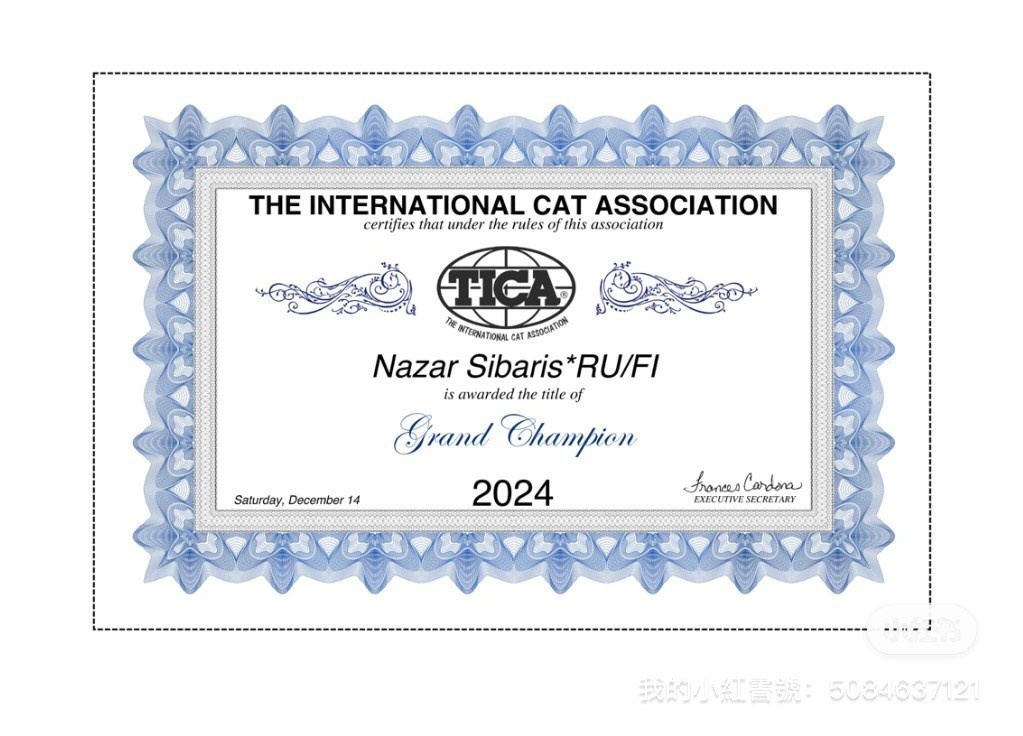 LEMON GREEN SIBERIANS NAZAR