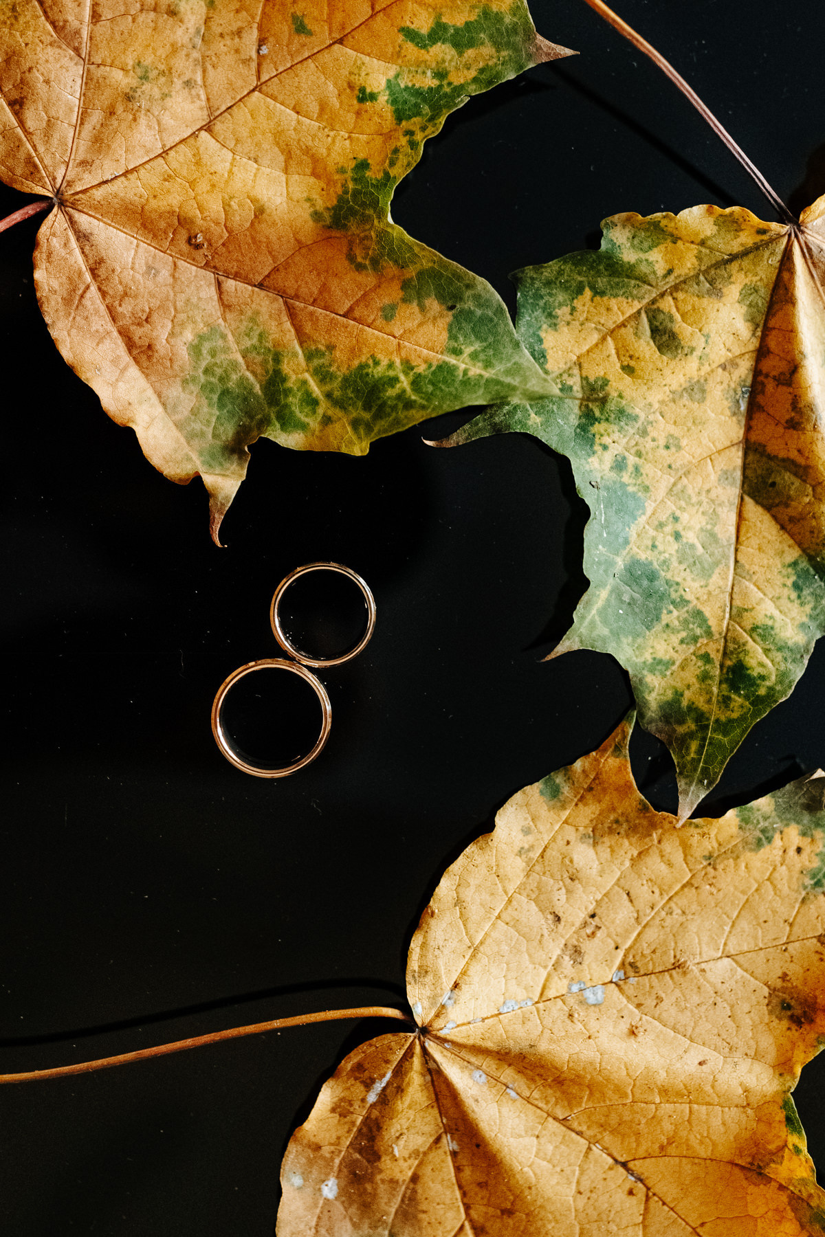 Kāzu rīts Ķīpsalā un ceremonija Jelgavas tornī