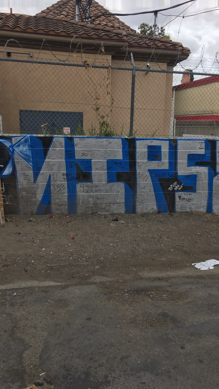 Lens Work From Field  1