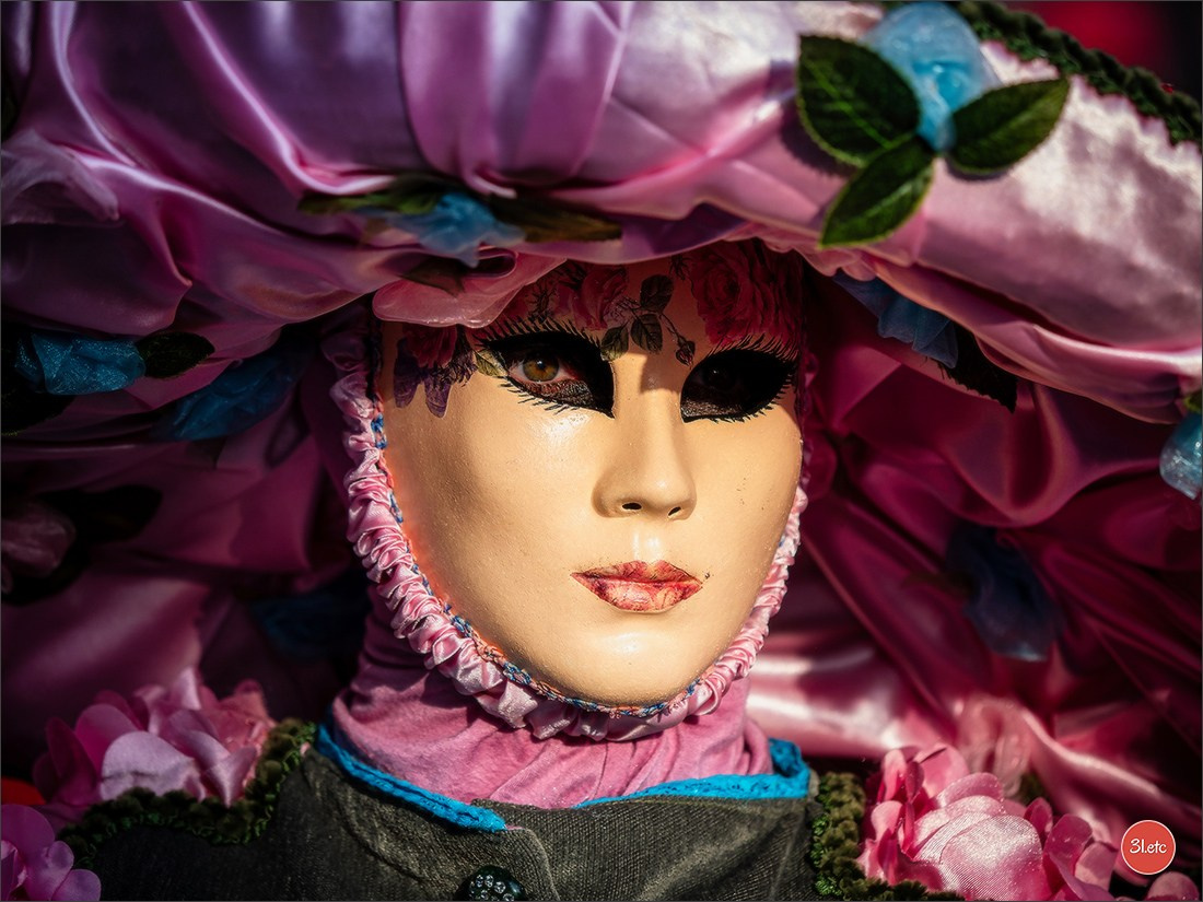 Carnaval vénitien de Rosheim 2026. Photographe à Strasbourg | Portraits, Studio, Enfants, Événements