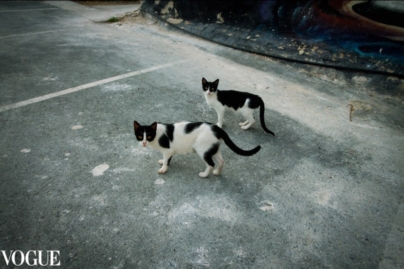 PhotoVogue. Lifestyle & Documentary Photography in Bristol, Bath & London — def0cused