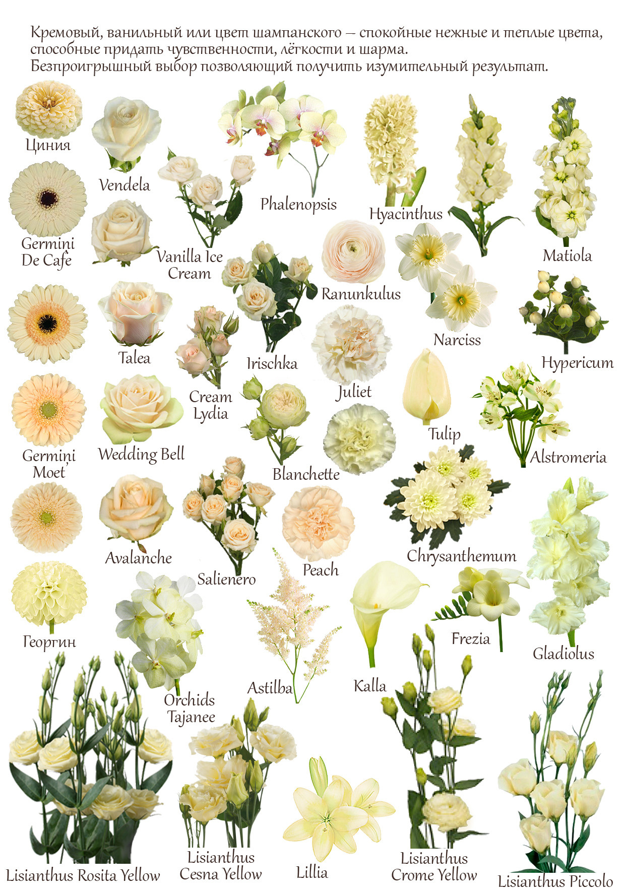 Ziedi. Event design, decoration, floristry, gift, Irina Novika, Riga, Latvia