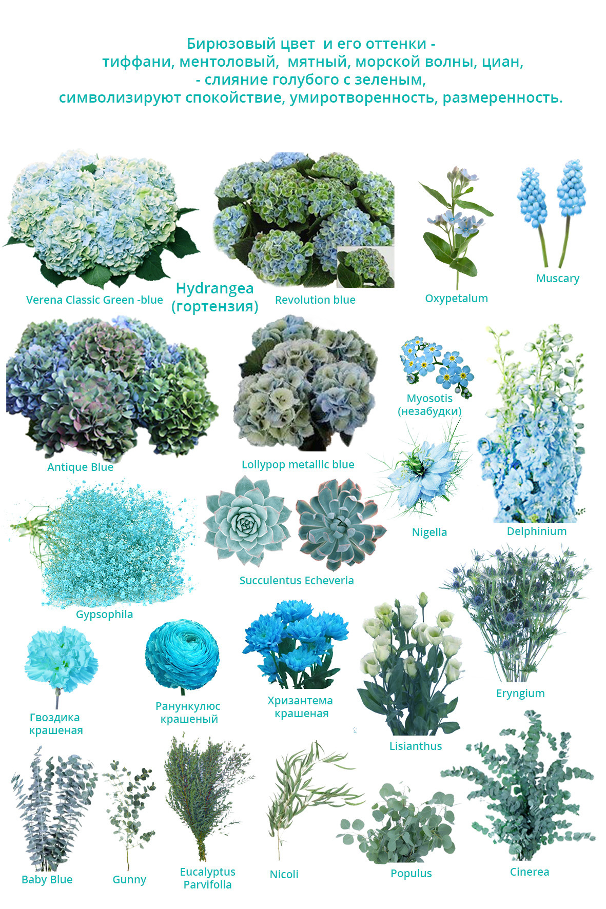 Ziedi. Event design, decoration, floristry, gift, Irina Novika, Riga, Latvia