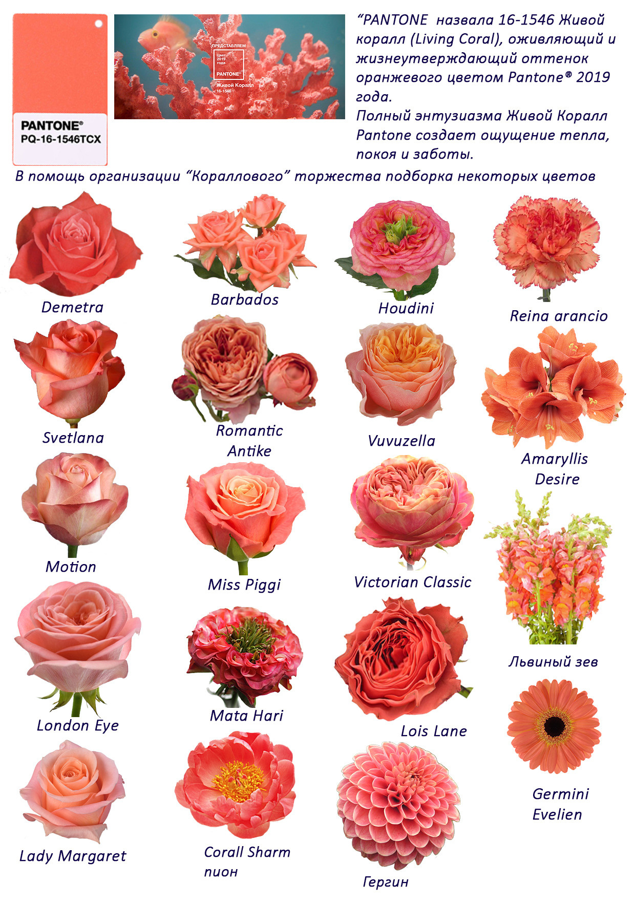 Ziedi. Event design, decoration, floristry, gift, Irina Novika, Riga, Latvia