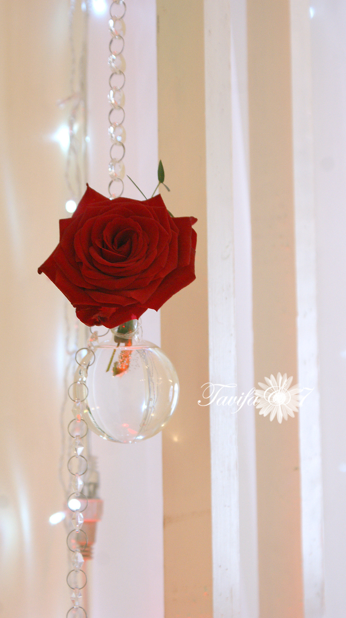 Banketi. Galdu rotājums. Event design, decoration, floristry, gift, Irina Novika, Riga, Latvia