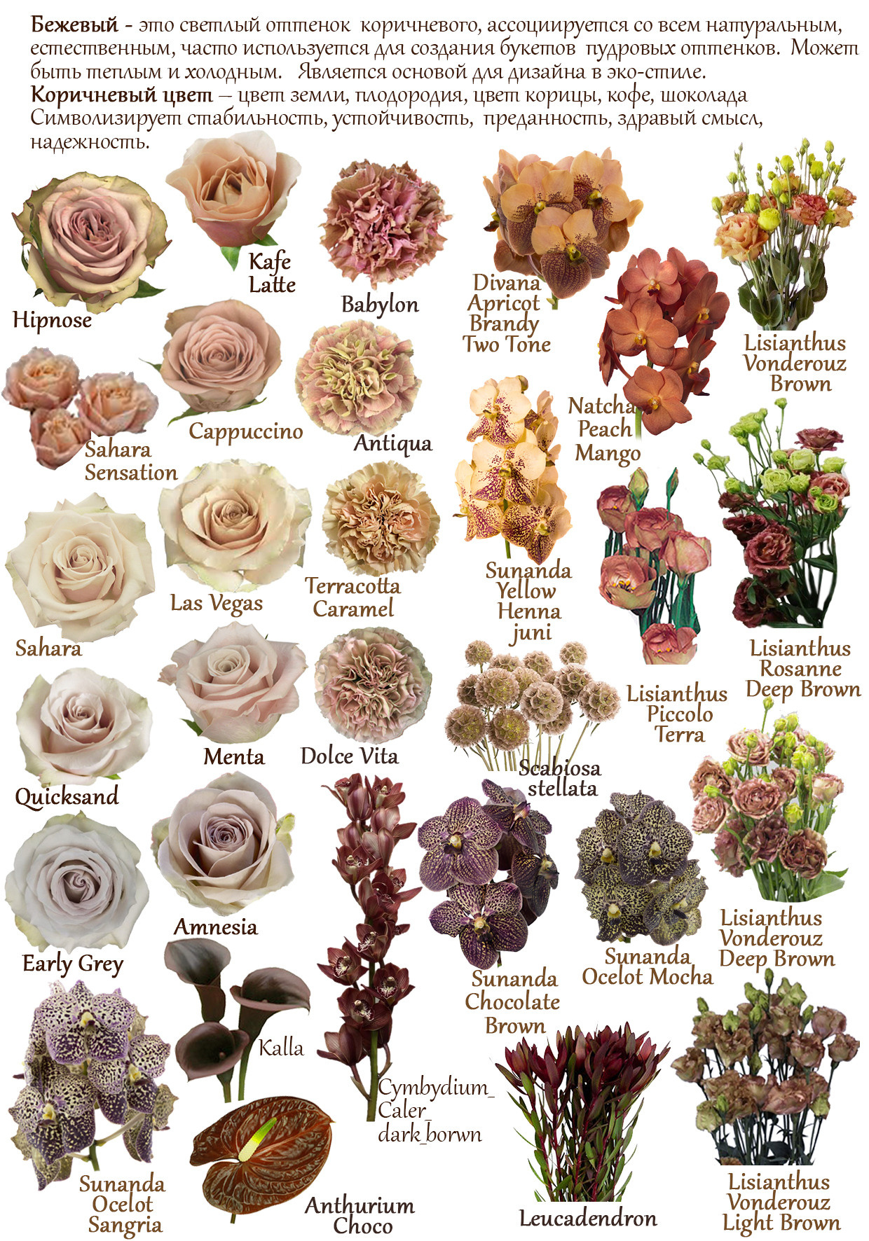 Ziedi. Event design, decoration, floristry, gift, Irina Novika, Riga, Latvia