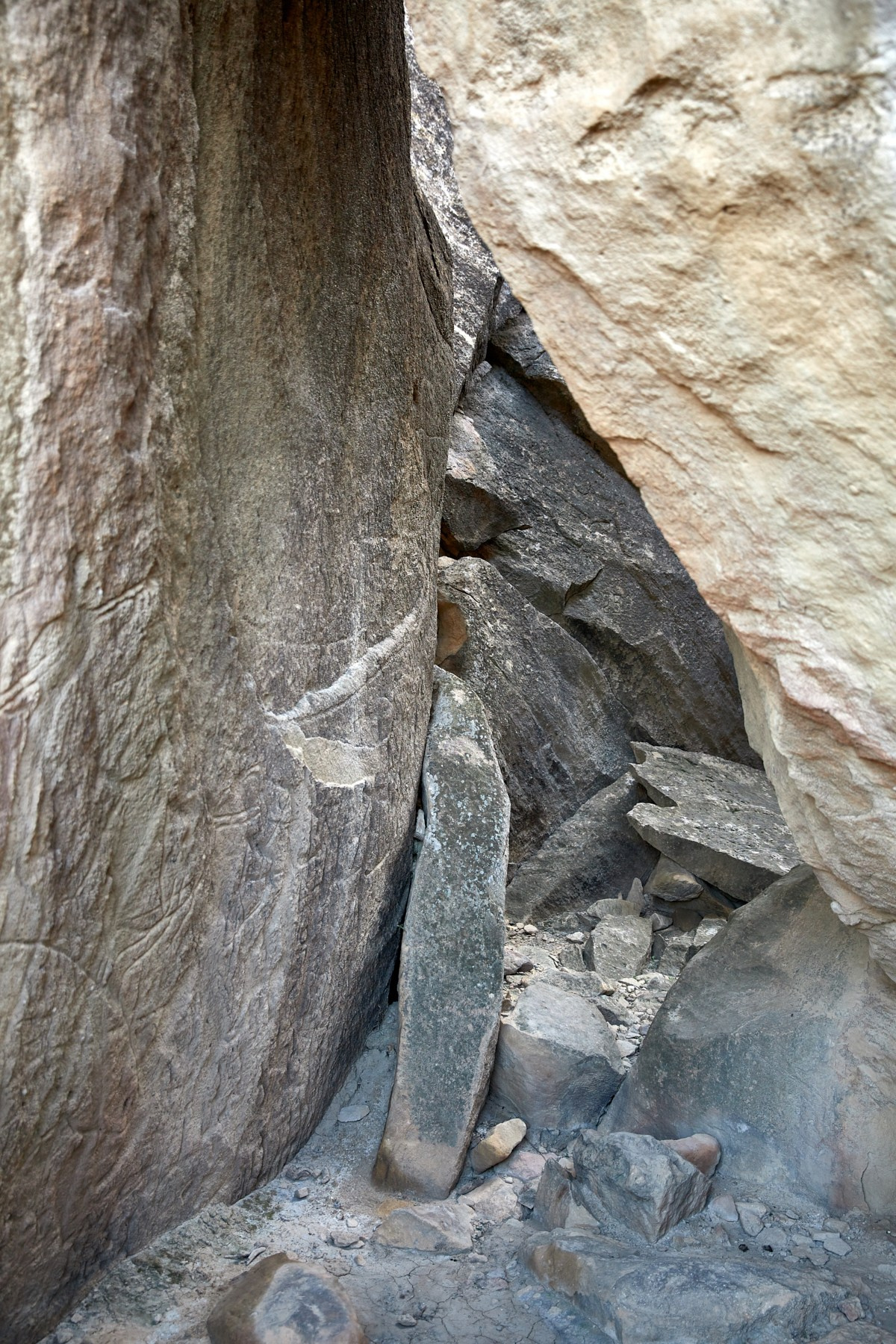 Team buildings. Photographer in Baku Kamran Enceladus