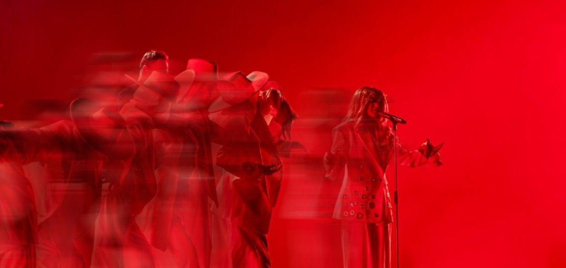 Klavdia Petrivna. Репортажний фотограф/анімаліст КИЇВ