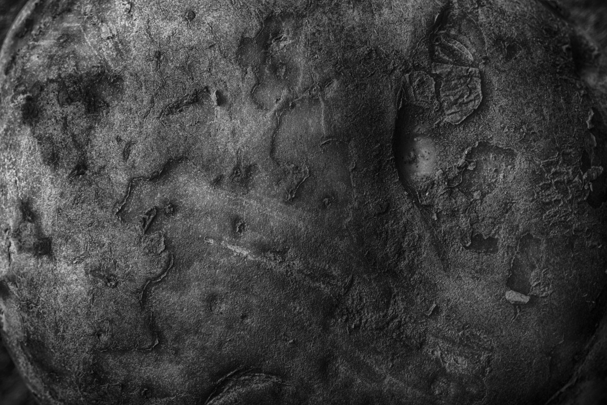 Абстрактный. Самид Али, фотограф из Санкт-Петербурга, Россия