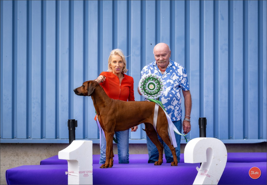 Expo canine 🇫🇷 Valence 02-03/05/2026