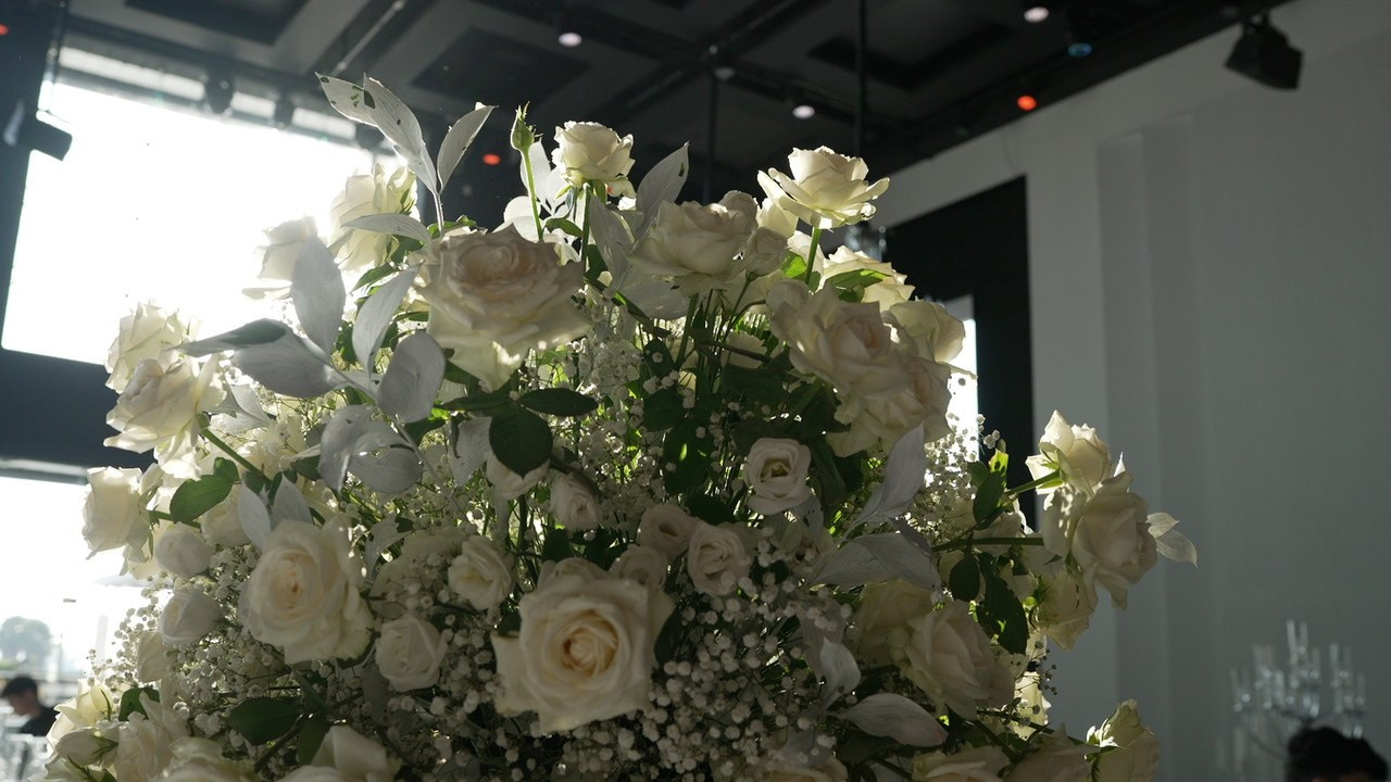 VIA / BASICO. Wedding and events photographers Studio Shalom