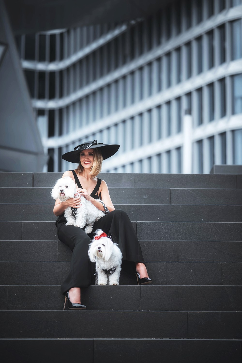 Porträts. Hochzeit und Familien Foto und Video